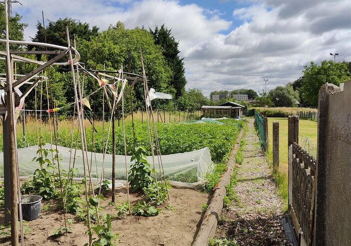 Bouwgrond te koop in LEBBEKE