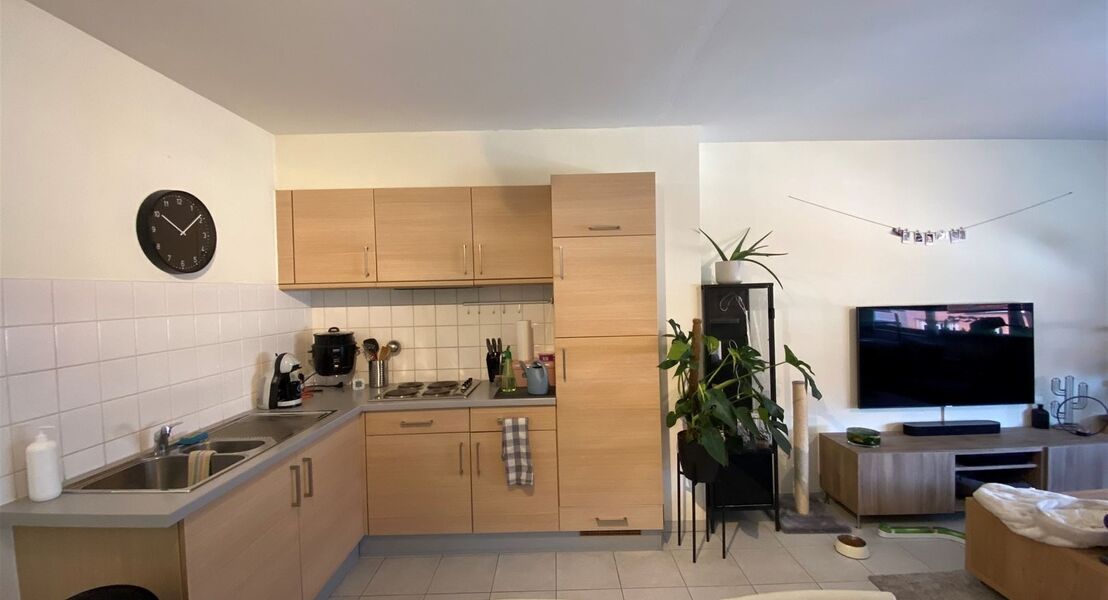 Appartement te huur in HEMIKSEM