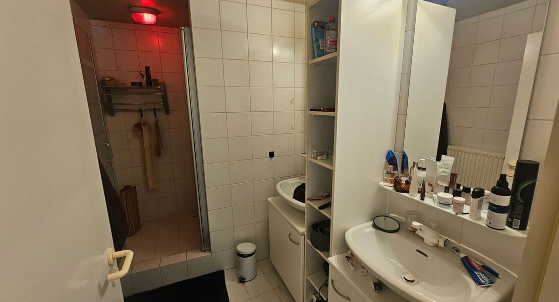 Appartement te huur in Willebroek