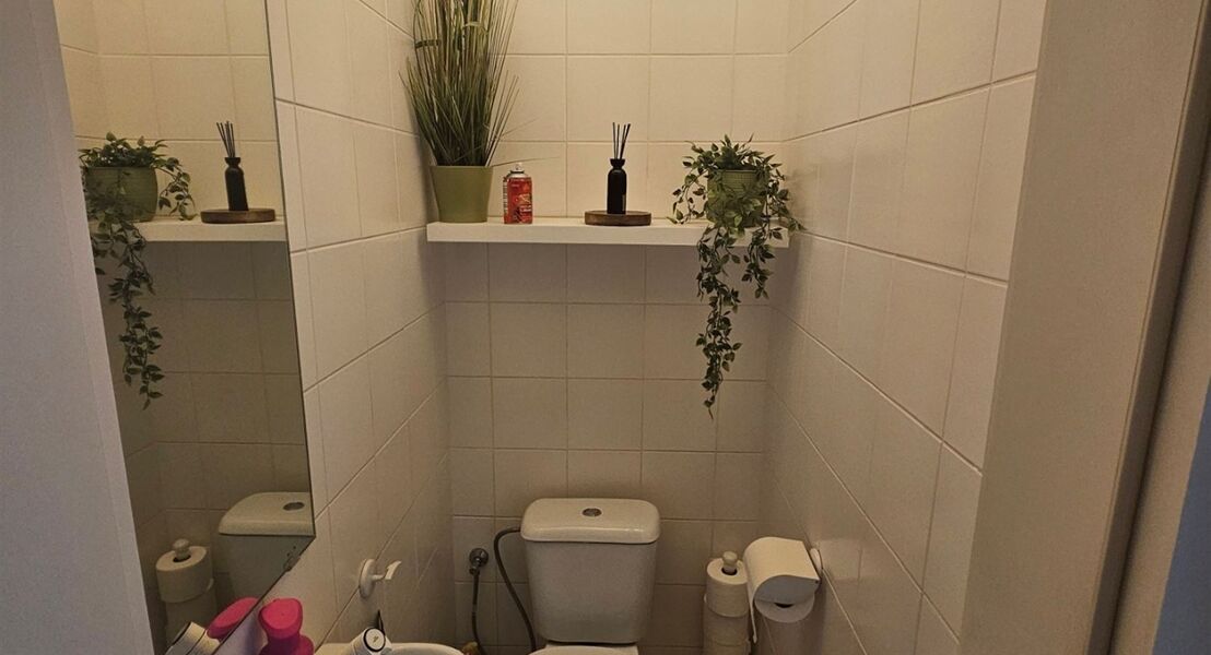 Appartement te huur in Willebroek