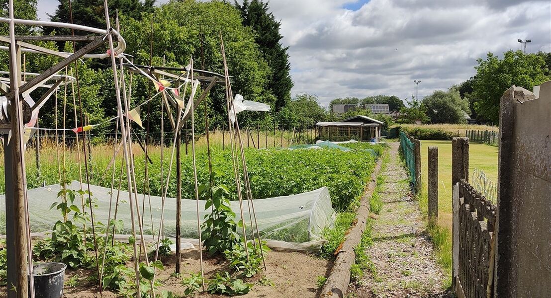 Bouwgrond te koop in LEBBEKE
