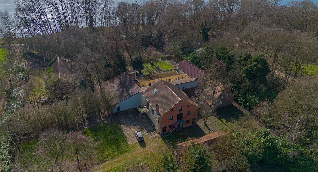 Opbrengsteigendom te koop in WILLEBROEK